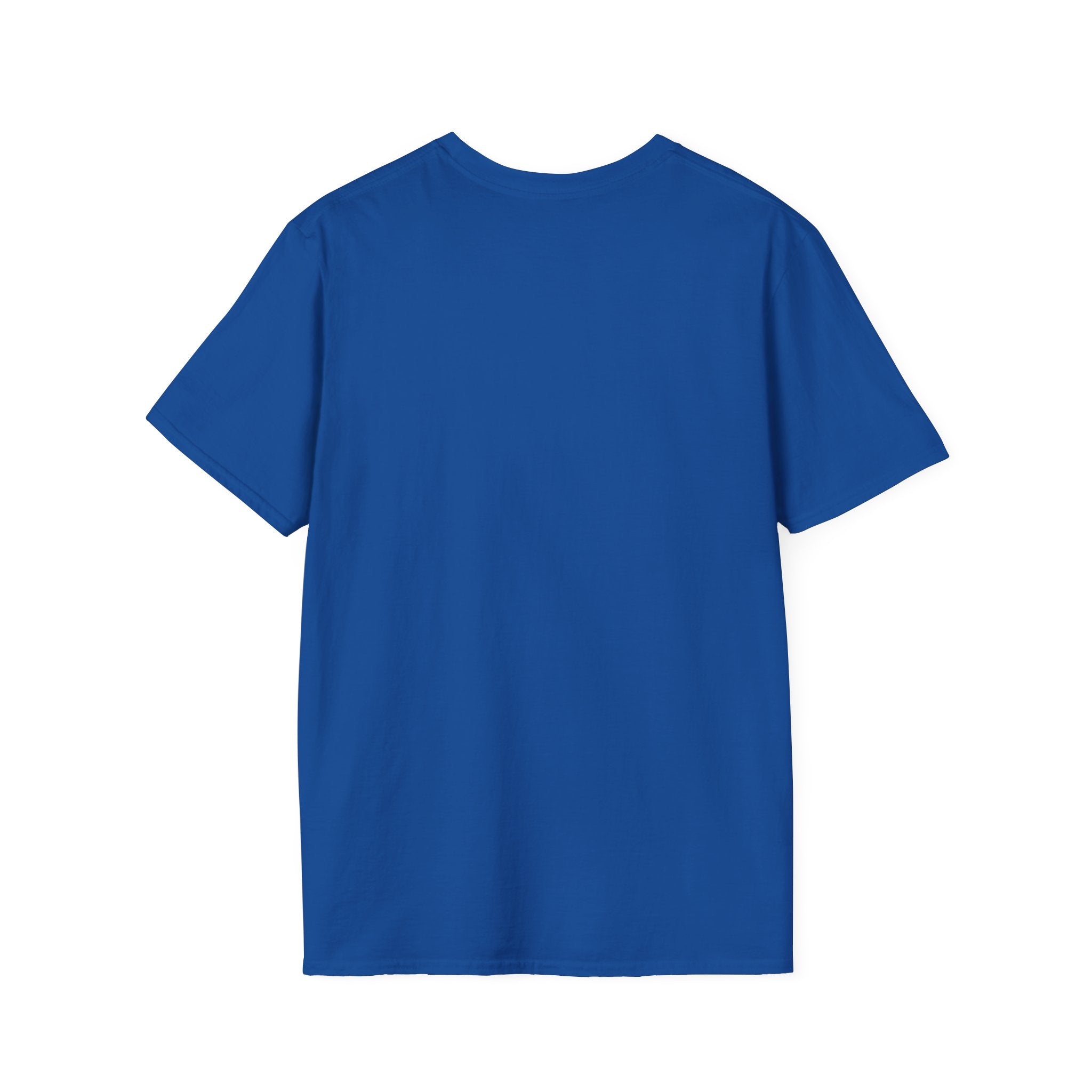 His Discipline is Self-Respect Unisex Softstyle T-Shirt, Structure Over Chaos Tee, Delay Gratification Shirt, Commitment Workout Top,