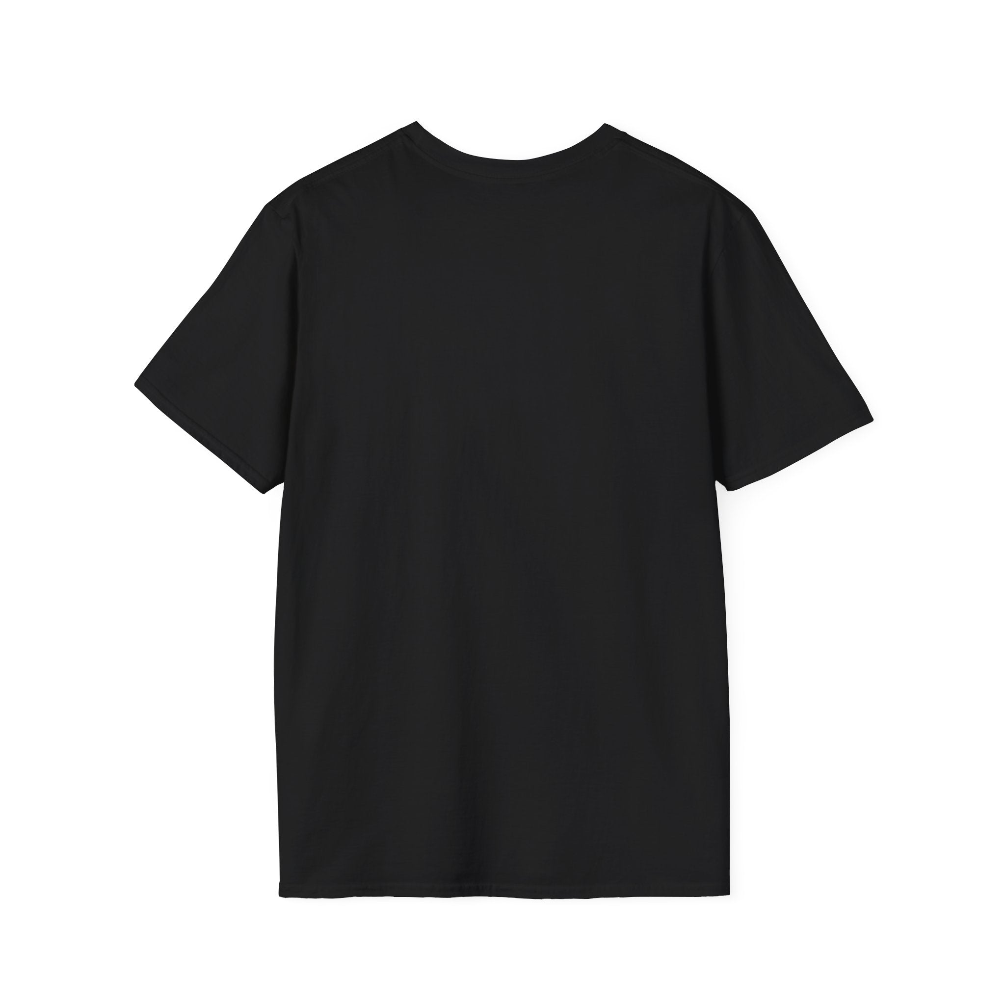 His Discipline is Self-Respect Unisex Softstyle T-Shirt, Structure Over Chaos Tee, Delay Gratification Shirt, Commitment Workout Top,