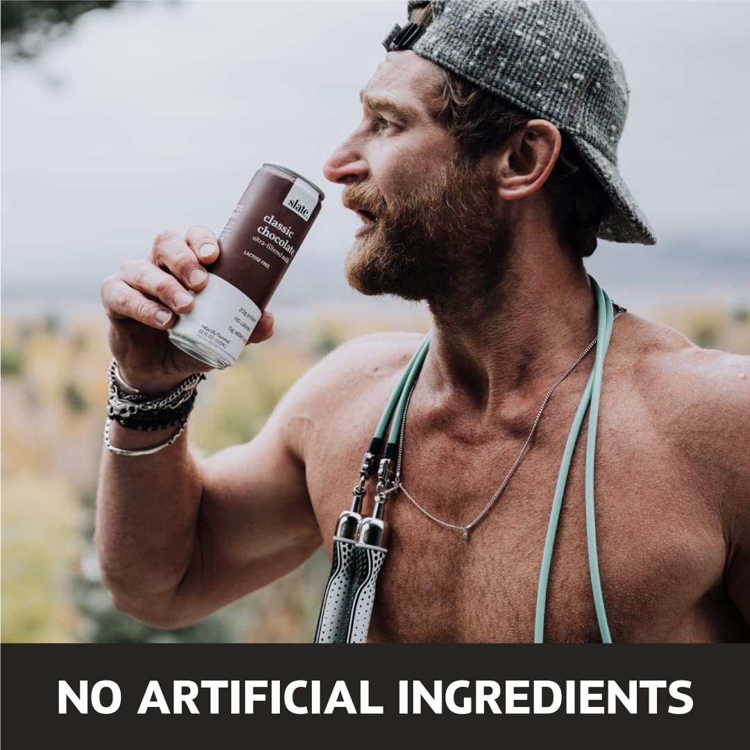 Slate Milk - High Protein Iced Coffee - Energy Variety Pack - Caramel Latte, Mocha Latte, Vanilla Latte - 175mg Caffeine, Lactose Free - 20g Protein, 1g Sugar - Protein Coffee - 11 fl oz, 12 Cans